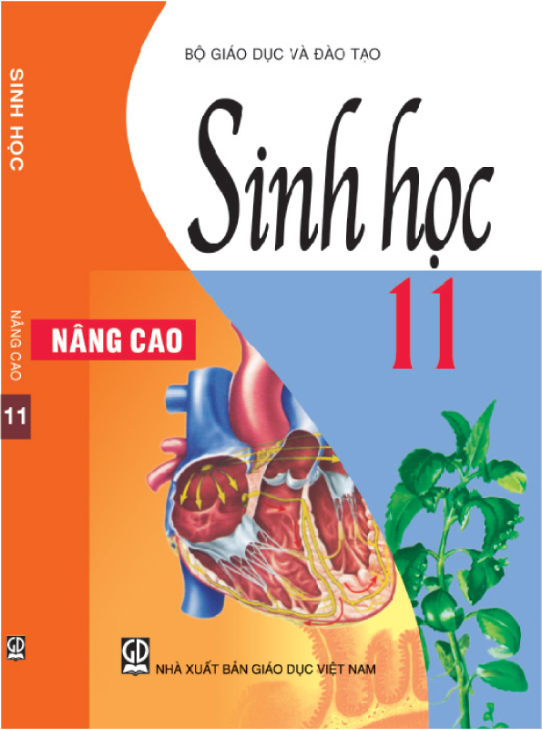 Sách Giáo Khoa Sinh Học 11 Nâng Cao