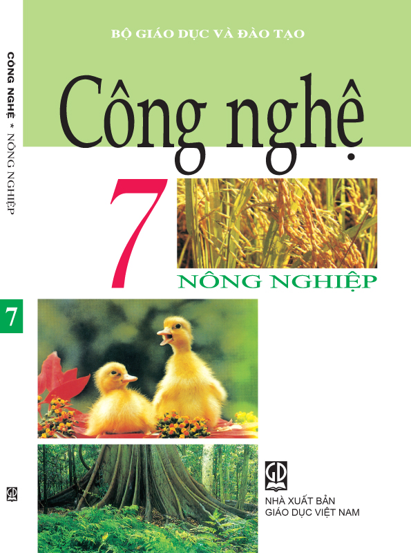 Sách Giáo Khoa Công Nghệ 7